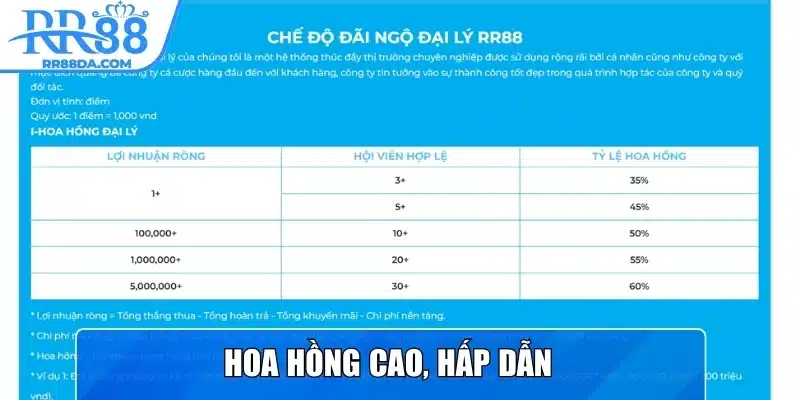 Hoa hồng cao, hấp dẫn